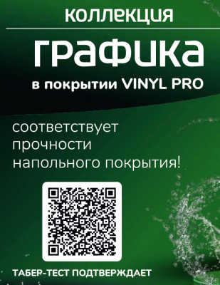 Vinyl Pro/Г-4/БС